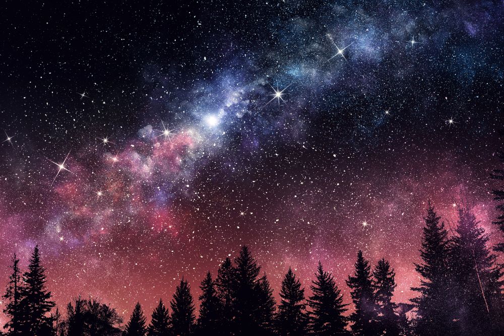 cosmos