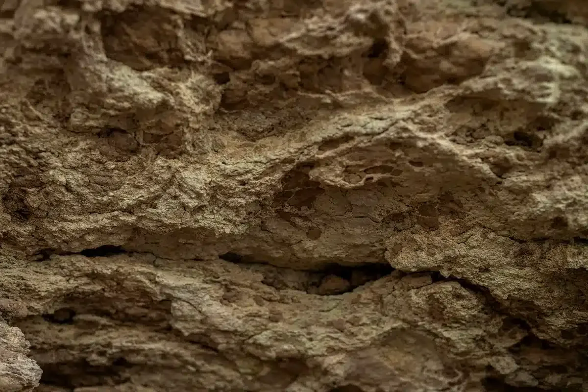 Primer plano de una roca rugosa de tonos ocres