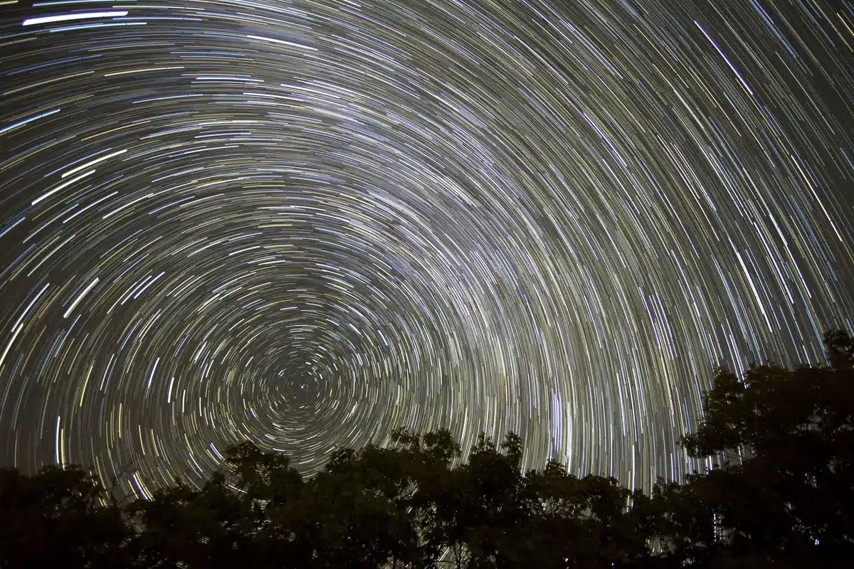 Fotografía de larga exposición con los trazos circulares de las estrellas sobre las copas de los árboles