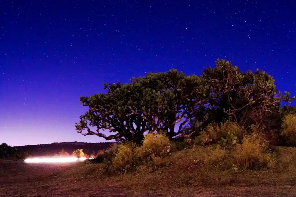 Perseid meteor shower long exposure dark sky Mexico desert milky way