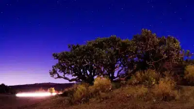 Perseid meteor shower long exposure dark sky Mexico desert milky way