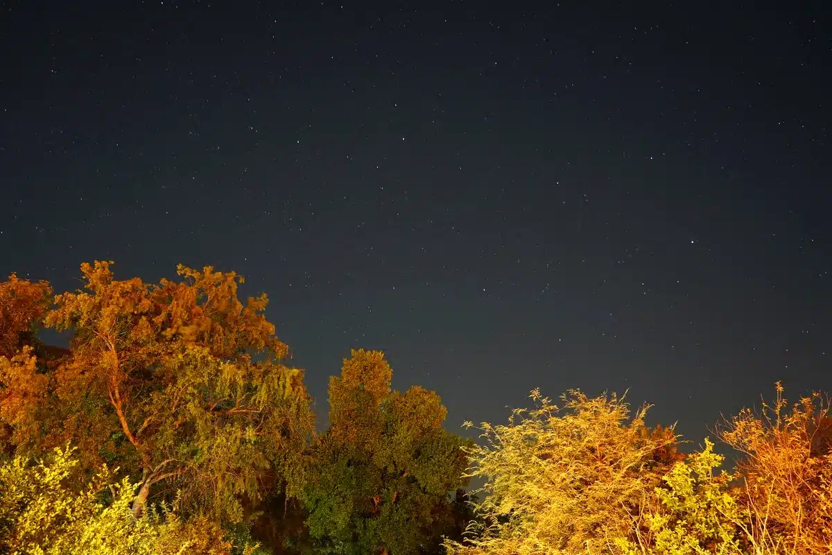 dark sky observation site Mexican highlands sierra landscape night stars