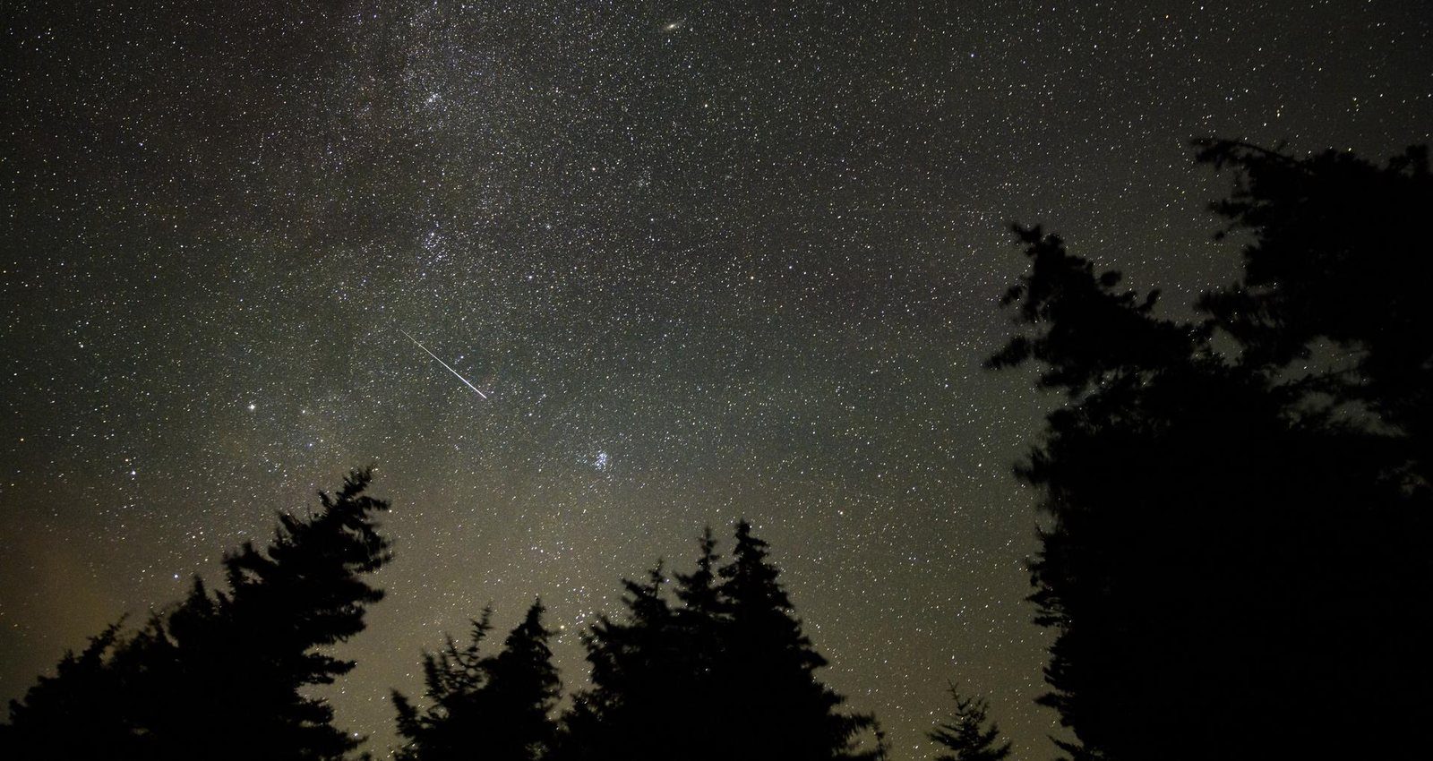 Un meteoro de las Perseidas cruza un cielo estrellado sobre la silueta de unos pinos